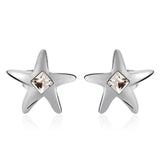 ERFA086 Fashion Charm Star Stud Earrings