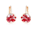 ERFA218 Fashion Charm Flower in Clusters Omega-back Earrings
