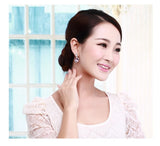 ERFA165 Fashion Charm Classical Big Heart Stud Earrings